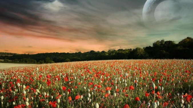 余承东称鸿蒙开发者突破 800 万，开源鸿蒙代码超 1.3 亿行，这说明什么？鸿蒙生态的影响力有多大？